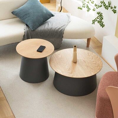 Round Top MDF Coffee Table PP Plastic Base Home Side Center Table